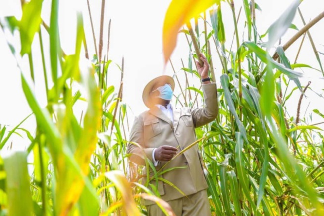 En images - Tournée économique: Macky Sall démarre par "Jamm Bugum"