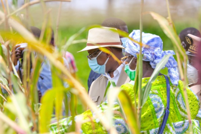 Tournée agricole de Macky Sall: En images, l'étape de Sibassor Tournée agricole de Macky Sall: En images, l'étape de Sibassor