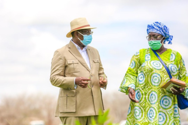 Tournée agricole de Macky Sall: En images, l'étape de Sibassor Tournée agricole de Macky Sall: En images, l'étape de Sibassor