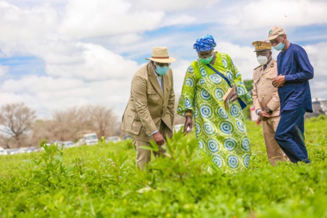 Tournée agricole de Macky Sall: En images, l'étape de Sibassor Tournée agricole de Macky Sall: En images, l'étape de Sibassor
