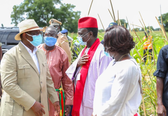 Macky Sall à Keur Socé: Visite des champs de la COPAR de 8 500 ha