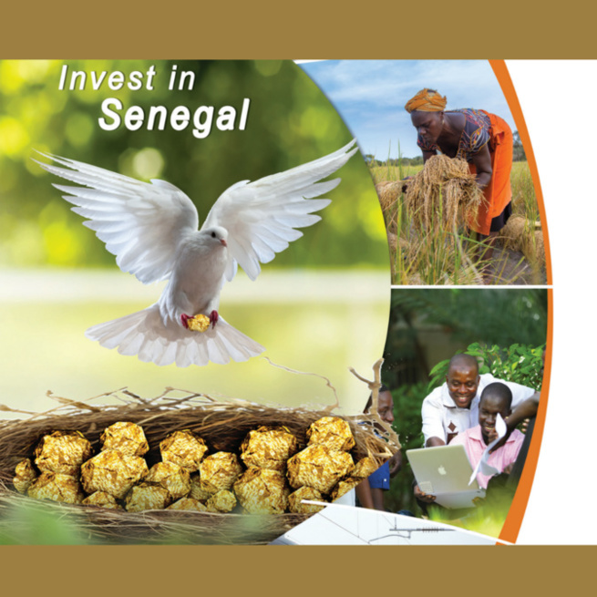 Les VERITES DU RAPPORT DU DEPARTEMENT D’ETAT AMERICAIN SUR LE CLIMAT DES INVESTISSEMENTS 2020 : Les Etats-Unis louent les avancées du Pse et annoncent le triplement de leurs investissements privés au Sénégal Les VERITES DU RAPPORT DU DEPARTEMENT D’ETAT AMERICAIN SUR LE CLIMAT DES INVESTISSEMENTS 2020 : Les Etats-Unis louent les avancées du Pse et annoncent le triplement de leurs investissements privés au Sénégal