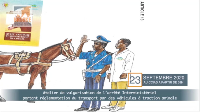 Atelier de vulgarisation de l'arrêté interministériel portant réglementation du transport par des véhicules à traction animale