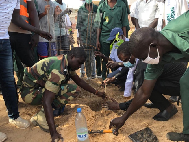 1ere édition des Assises de Bargny: Une brigade verte mise sur place pour démarrer les activités de reboisement dans la commune 1ere édition des Assises de Bargny: Une brigade verte mise sur place pour démarrer les activités de reboisement dans la commune