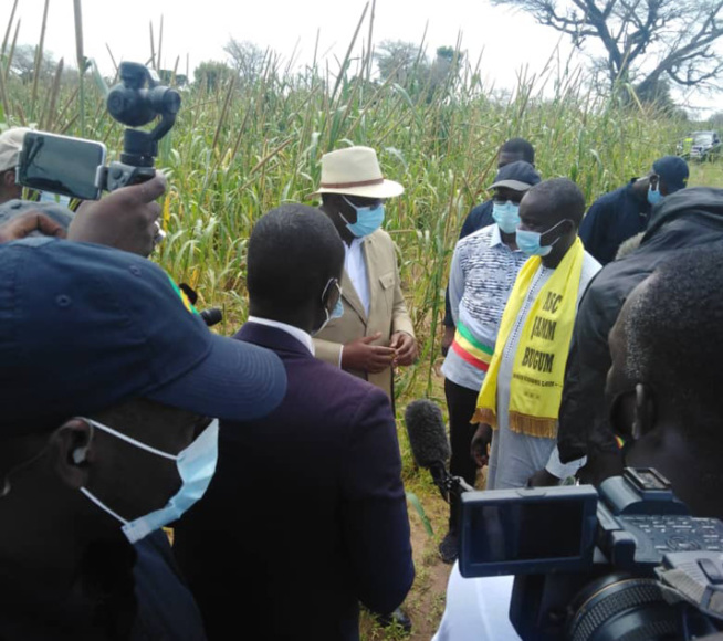 Deuxième phase du PUDC : 150 milliards FCFA sur les 300 prévus, déjà mobilisés ( Macky Sall) Deuxième phase du PUDC : 150 milliards FCFA sur les 300 prévus, déjà mobilisés ( Macky Sall)