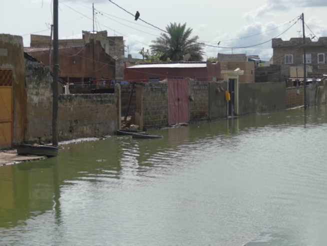 Pluies diluviennes à Kolda : Inondations, noyades d'enfants et présence de reptiles au menu.