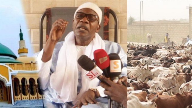 Magal et crise Malienne – Serigne saliou thioune fait une révélation de taille « Pourquoi on est pas parti au Mali pour des bœufs »