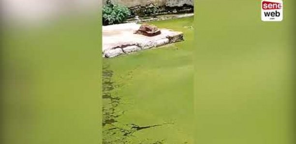 Miracle à Touba : Un garçonnet repêché vivant des eaux stagnantes Miracle à Touba : Un garçonnet repêché vivant des eaux stagnantes