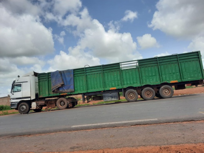 La Douane saisit 2, 282 t de chanvre indien à Koungheul La Douane saisit 2, 282 t de chanvre indien à Koungheul