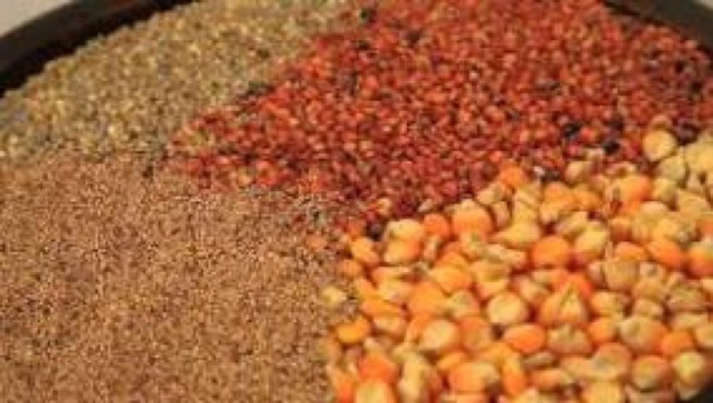Résidus et contamination dans les produits alimentaires: les sénégalais en danger de mort