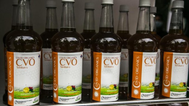 Remède Malgache: Professeur Moussa Seydi et Cie annoncent une décision inattendue Remède Malgache: Professeur Moussa Seydi et Cie annoncent une décision inattendue