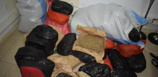 Khar Yalla : 68 kg de chanvre indien saisis et 7 personnes arrêtées Khar Yalla : 68 kg de chanvre indien saisis et 7 personnes arrêtées
