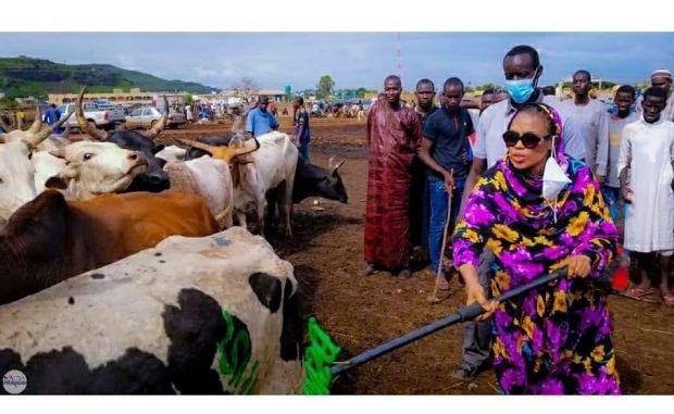 Sokhna Aïda Diallo, Ses 100 bœufs et ses mallettes d’argent rejetés par le Khalif, Serigne Bass Abdou Khadre a également décliné Sokhna Aïda Diallo, Ses 100 bœufs et ses mallettes d’argent rejetés par le Khalif, Serigne Bass Abdou Khadre a également décliné