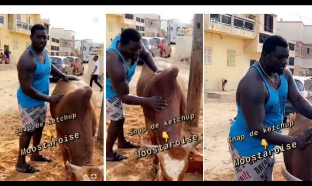 Safar avant Magal – Balla Gaye 2 : “Niary naak lay ray chaque jour…” Safar avant Magal – Balla Gaye 2 : “Niary naak lay ray chaque jour…”