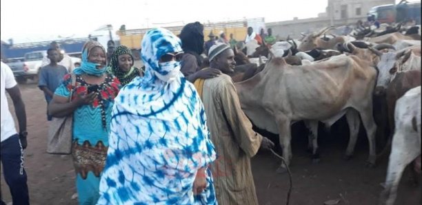 Magal à Ngabou : Sokhna Aïda Diallo a mobilisé un budget de 2,5 milliards Fcfa