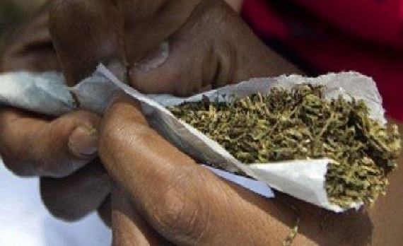 Trafic de drogue : Amadou S. Barry, surpris en possession de 18 cornets de Yamba, Ã 6 mois de prison ferme Trafic de drogue : Amadou S. Barry, surpris en possession de 18 cornets de Yamba, Ã 6 mois de prison ferme