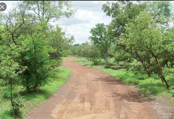 Fatick: Un homme de 50 ans retrouvé mort dans la forêt Fatick: Un homme de 50 ans retrouvé mort dans la forêt