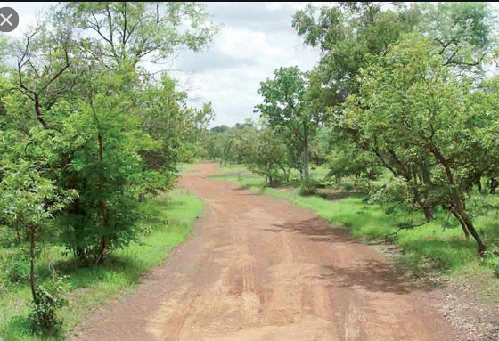 Fatick: Un homme de 50 ans retrouvé mort dans la forêt