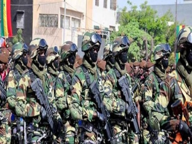 Ziguinchor: L'Armée brûle un grand champ de chanvre indien cultivé par une bande armée Ziguinchor: L'Armée brûle un grand champ de chanvre indien cultivé par une bande armée