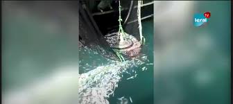 URGENT / DIRECT: Altercation entre les pêcheurs artisanaux de Cayar et des bateaux étrangers