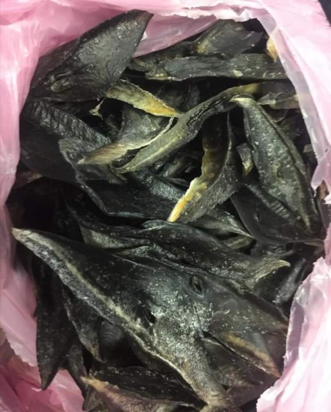 AIBD: Des produits et organes saisis par la Douane AIBD: Des produits et organes saisis par la Douane