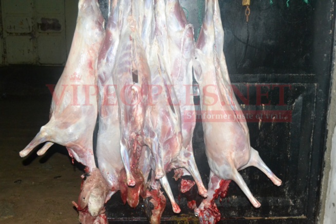 Les images de la célébration du Magal de Maty Djigo la première dame du transitaire incontournable, Lamine Ndaw Les images de la célébration du Magal de Maty Djigo la première dame du transitaire incontournable, Lamine Ndaw