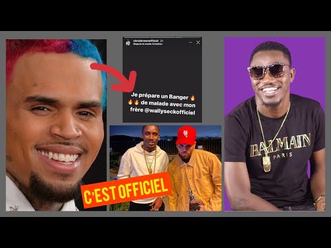WALLY B. SECK FEAT CHRIS BROWN [ACAPÉLA] CLIP TEARSER