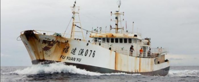 Enquête: Greenpeace révèle comment les navires « Fu Yuan Yu » pillent les eaux sénégalaises Enquête: Greenpeace révèle comment les navires « Fu Yuan Yu » pillent les eaux sénégalaises