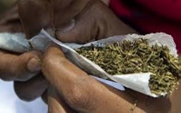 Arrêté avec 150 grammes de chanvre indien : Un homme de 71 ans prétend qu’il voulait les offrir à ses amis «Baye Fall» pour le Magal Arrêté avec 150 grammes de chanvre indien : Un homme de 71 ans prétend qu’il voulait les offrir à ses amis «Baye Fall» pour le Magal