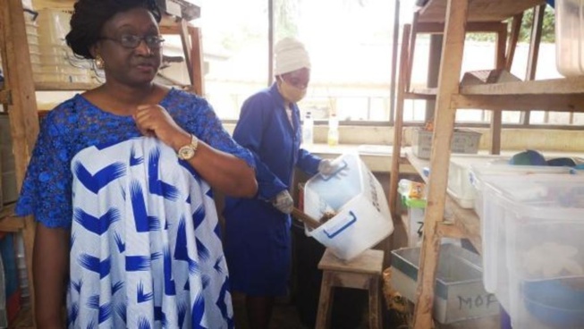 Au Nigeria, le Covid-19 donne un nouvel élan à la défense du pangolin Au Nigeria, le Covid-19 donne un nouvel élan à la défense du pangolin