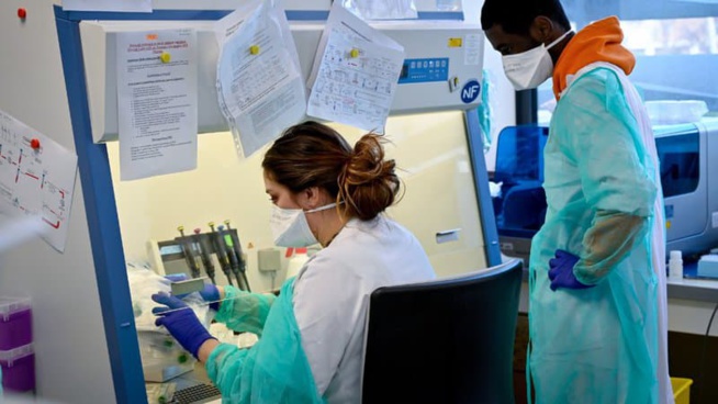 Le laboratoire Eli Lilly suspend l'essai clinique d'un traitement expérimental contre le Covid-19 Le laboratoire Eli Lilly suspend l'essai clinique d'un traitement expérimental contre le Covid-19