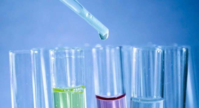 Lutte contre le cancer et le Covid-19: les scientifiques misent sur les cellules souches Lutte contre le cancer et le Covid-19: les scientifiques misent sur les cellules souches