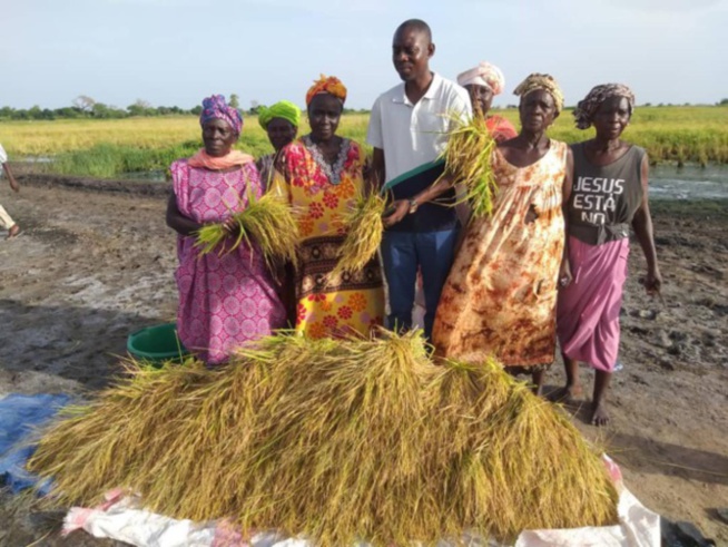Fatick : Mamadou Ngom Niang donne suite à l’appel du Président Macky Sall, pour un retour vers l’agriculture