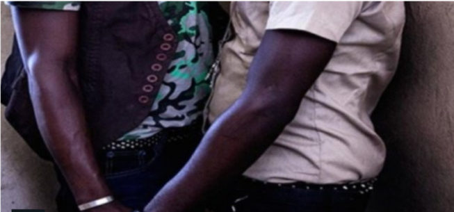 Sacré-Cœur 3/ Célébration d’un mariage gay: Plus de 20 homosexuels présumés, arrêtés Sacré-Cœur 3/ Célébration d’un mariage gay: Plus de 20 homosexuels présumés, arrêtés