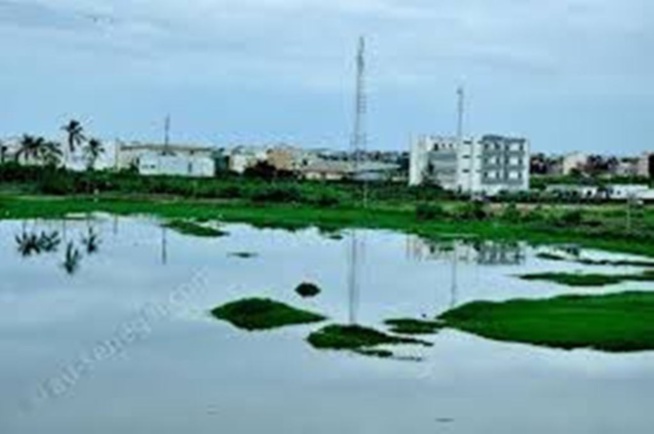 Fait insolite à la Cité Technopole Fait insolite à la Cité Technopole