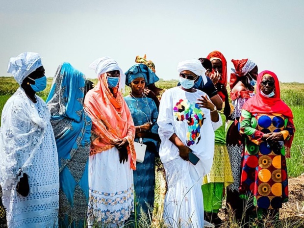 Financement de la campagne hivernale 2020 pour les femmes agricultrices: La Bicis alloue 350 millions Cfa aux membres du Refan