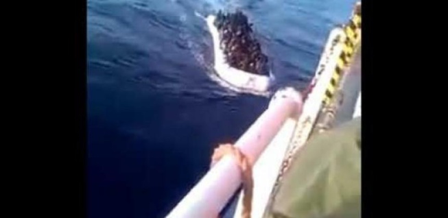 Immigration clandestine : L’arrivée spectaculaire des migrants Immigration clandestine : L’arrivée spectaculaire des migrants