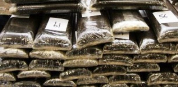 Un Nigérian dissimule 10 boulettes de cocaïne dans ses parties intimes Un Nigérian dissimule 10 boulettes de cocaïne dans ses parties intimes