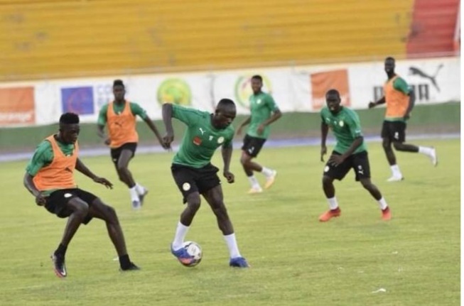 Deuxième et dernière séance d’entrainement des Lions