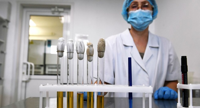 Plus de 15 substances pouvant servir de base à des médicaments anti-Covid déterminées en Russie Plus de 15 substances pouvant servir de base à des médicaments anti-Covid déterminées en Russie