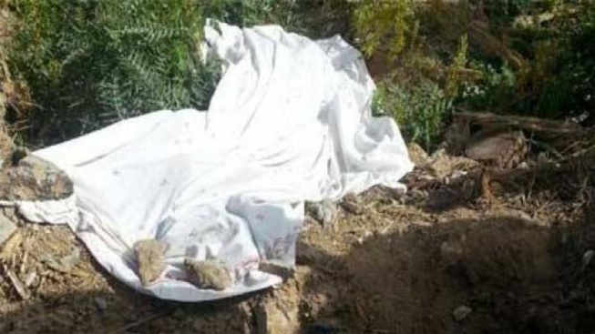 Drame à Kolda : Un véhicule fait marche arrière et écrase une vieille dame Drame à Kolda : Un véhicule fait marche arrière et écrase une vieille dame