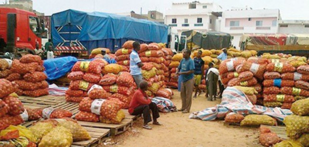 Sénégal : Le chiffre d’affaires des services a baissé de 2,5% au mois d’août