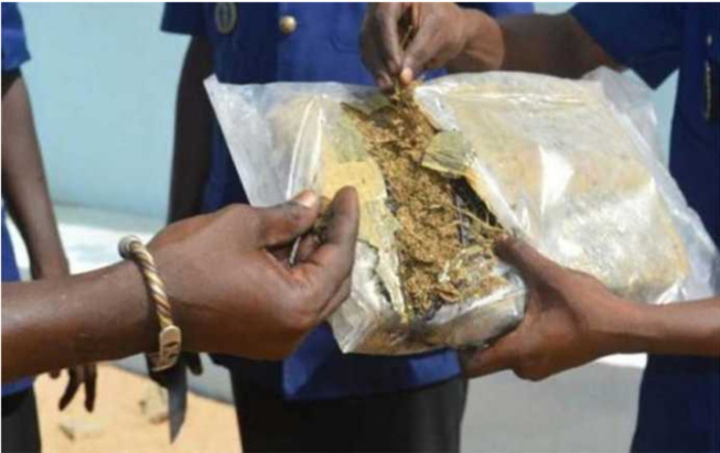 Mbacké: La Brigade régionale de Diourbel a saisi 11 kg de chanvre indien