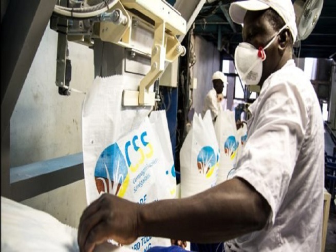 Compagnie sucrière sénégalaise : « nous sommes aux bords de la fermeture », alertent les travailleurs Compagnie sucrière sénégalaise : « nous sommes aux bords de la fermeture », alertent les travailleurs