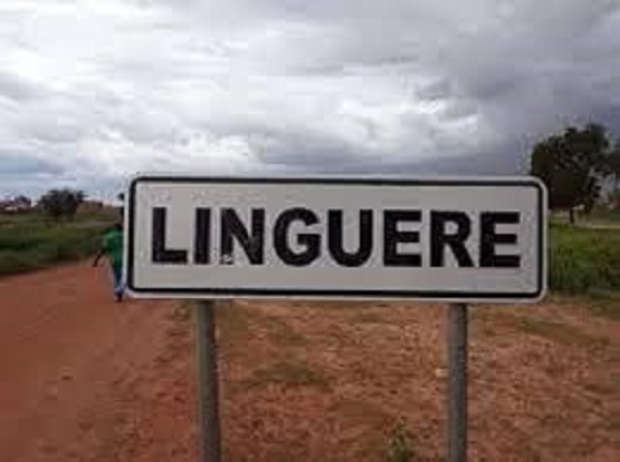 Linguère : Les populations de Khatali marchent pour l’électricité Linguère : Les populations de Khatali marchent pour l’électricité
