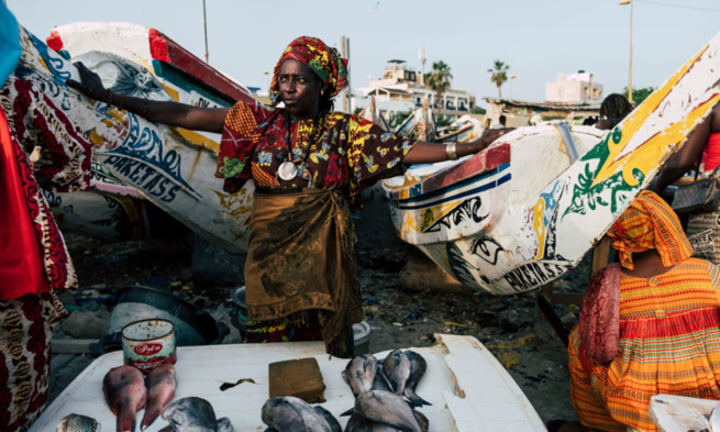 Emigration clandestine: les femmes de la Pêche artisanale proposent des solutions pour fixer les jeunes Emigration clandestine: les femmes de la Pêche artisanale proposent des solutions pour fixer les jeunes
