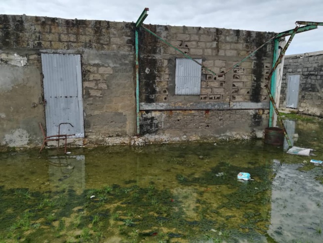 binetou Fall présidente de l'association Niomineka sénégalo-Turballais, en visite dans les écoles dans l'ile du Saloum