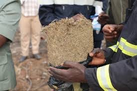Trafic de drogue: Une quarantaine de kilos de yamba saisis par l'Ocrtis Trafic de drogue: Une quarantaine de kilos de yamba saisis par l'Ocrtis