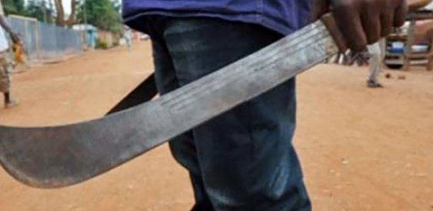 Kébémer: Pour se venger sur son oncle, il découpe le fils de ce dernier à coups de machette Kébémer: Pour se venger sur son oncle, il découpe le fils de ce dernier à coups de machette