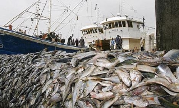 Contres les accords de Pêche Sénégal-UE : A Mbour, des pêcheurs comptent manifester vendredi prochain Contres les accords de Pêche Sénégal-UE : A Mbour, des pêcheurs comptent manifester vendredi prochain